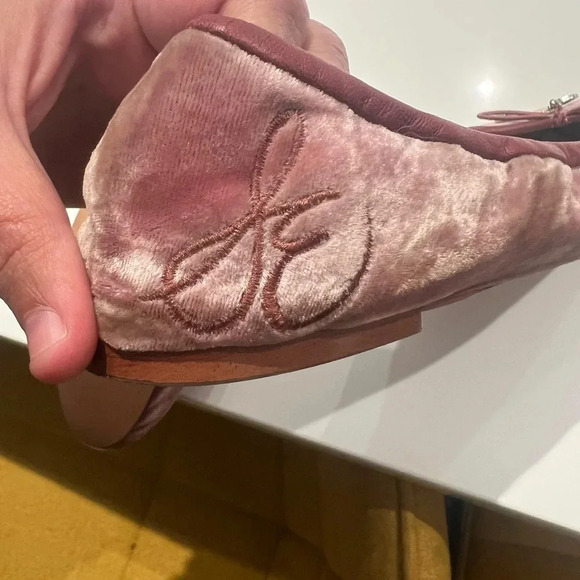 Sam Edelman pink suede ballet flats 
Size 8 - Picture 4 of 6